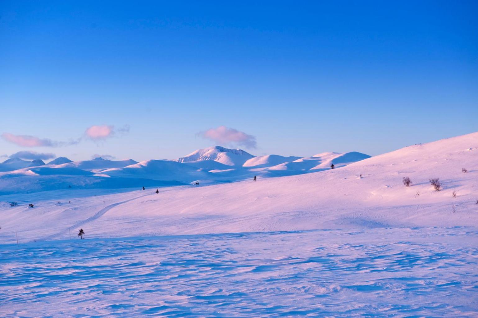 Spidsbergseter Resort Rondane Venabygd Dış mekan fotoğraf