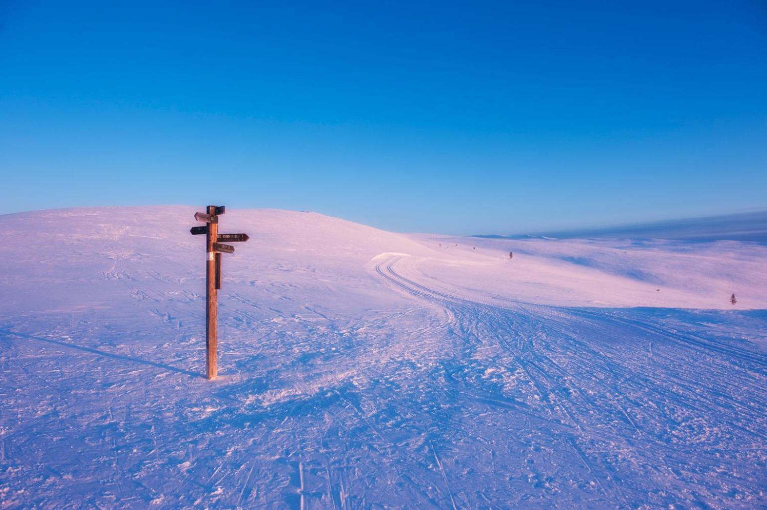 Spidsbergseter Resort Rondane Venabygd Dış mekan fotoğraf
