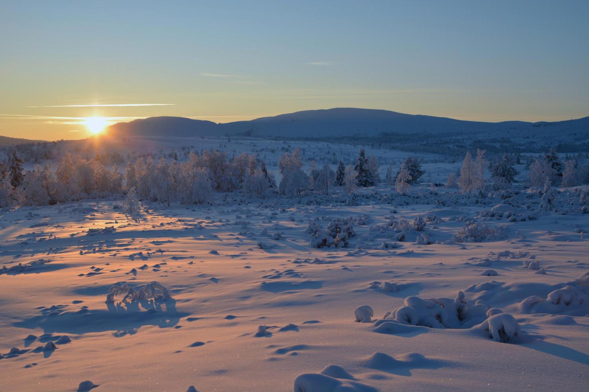 Spidsbergseter Resort Rondane Venabygd Dış mekan fotoğraf