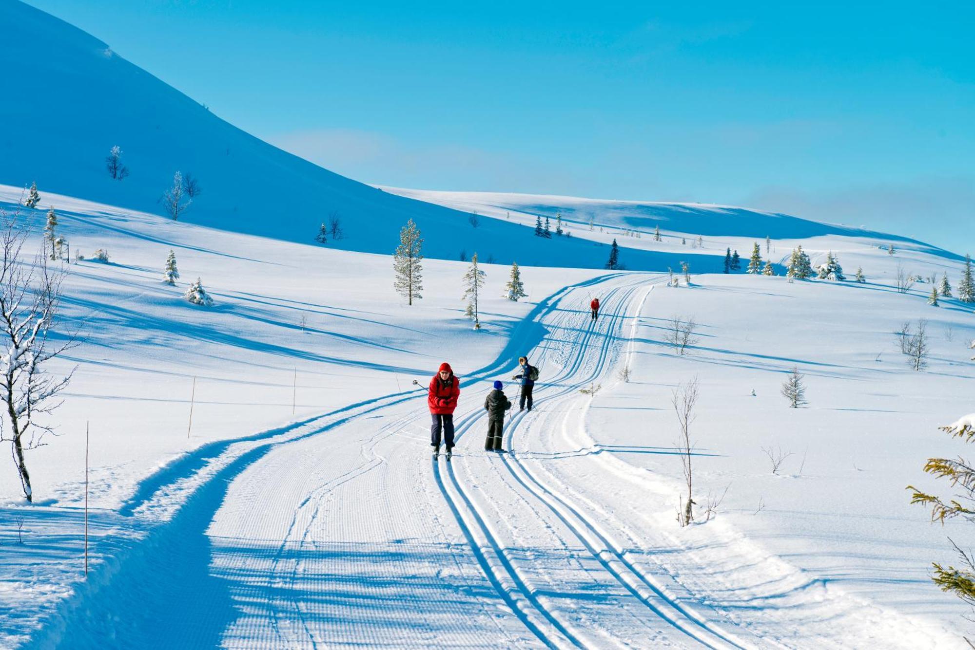 Spidsbergseter Resort Rondane Venabygd Dış mekan fotoğraf