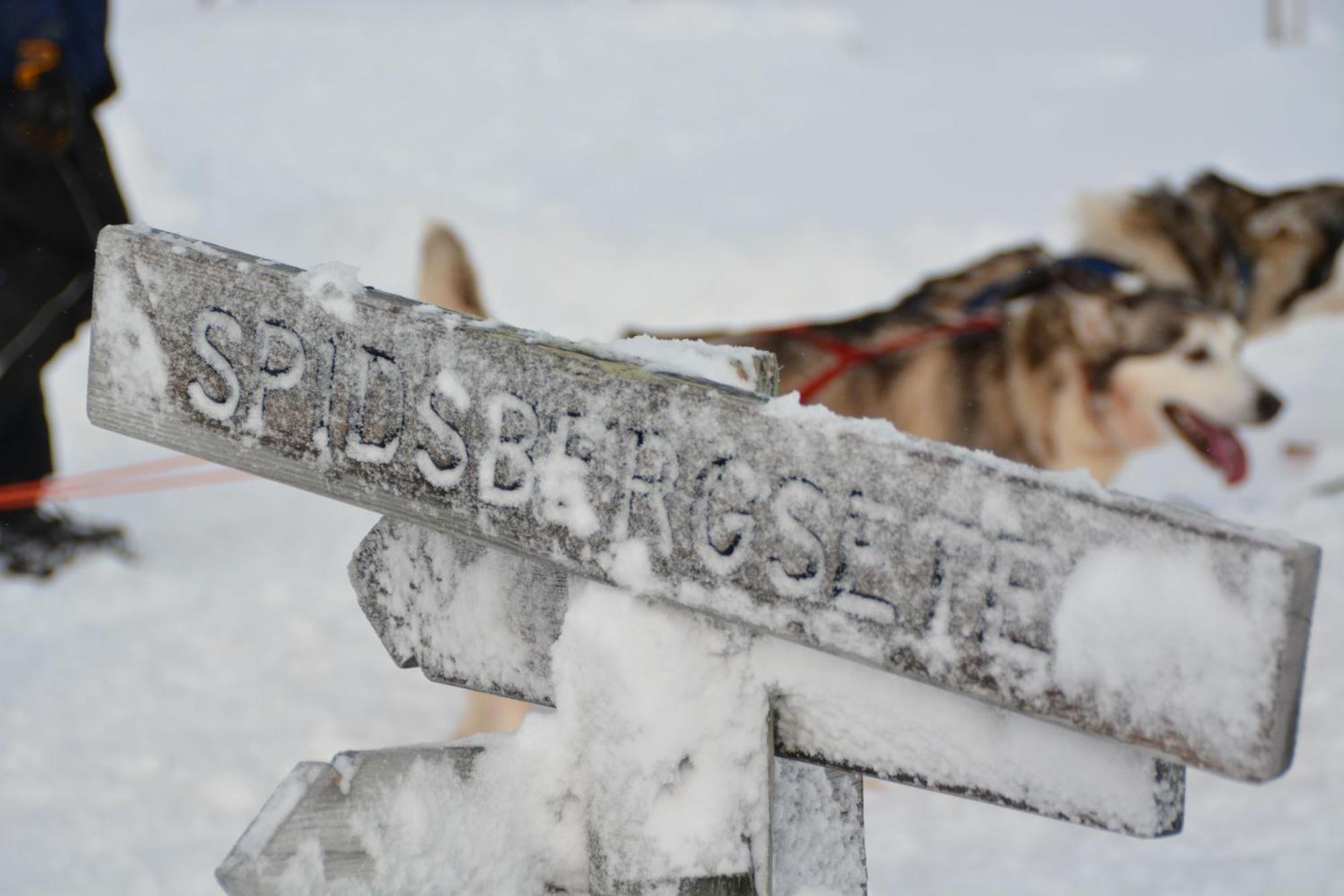 Spidsbergseter Resort Rondane Venabygd Dış mekan fotoğraf